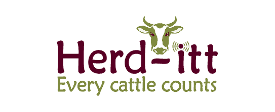 herd-itt-logo